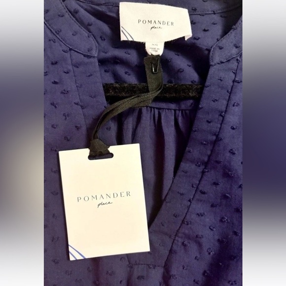 TUCKERNUCK Pomander Place Navy Cotton Poplin Swiss Dot Kenzo Dress NWT Size XS - Picture 9 of 13